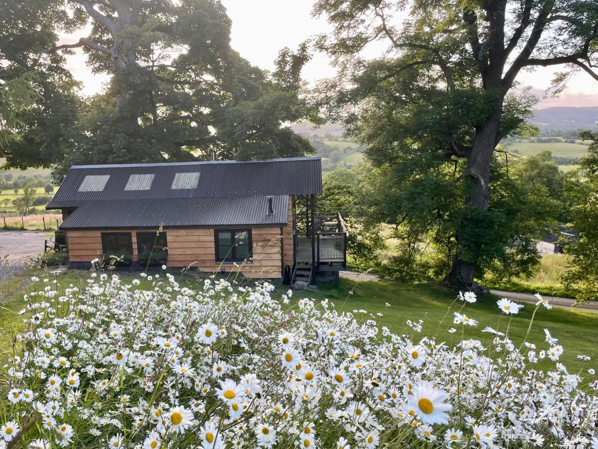 Faraway Follies Villa Llandegla Eksteriør bilde